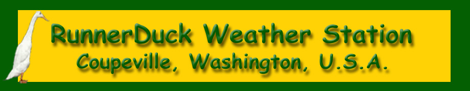 RunnerDuck Weather
