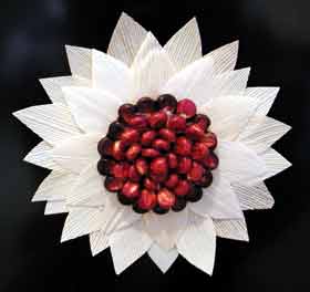 corn husk arts and crafts
