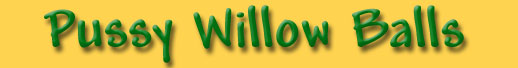 Pussy Willow Balls