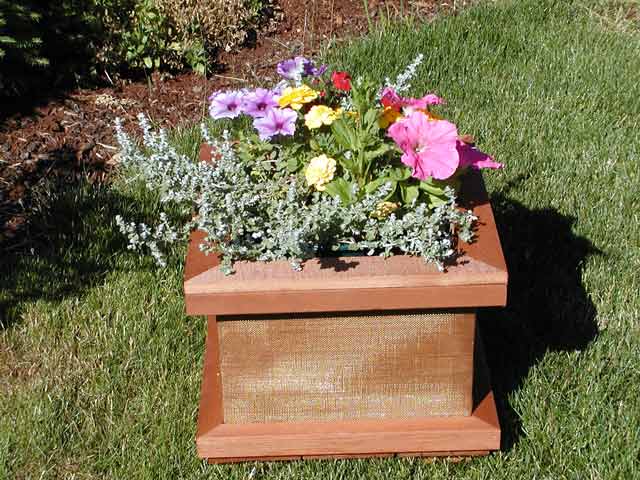 Bronze Mesh Planter