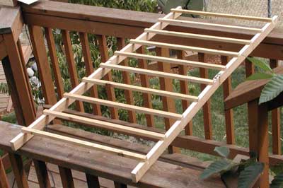 Drying Ladder