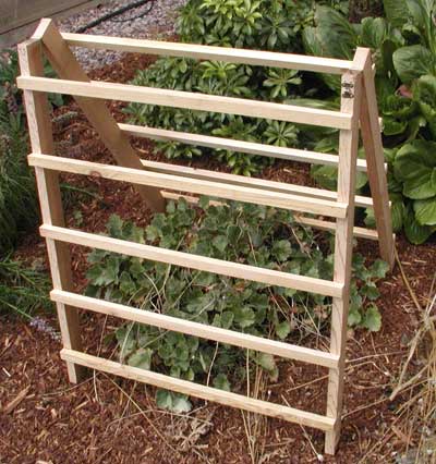 For spring planting shade