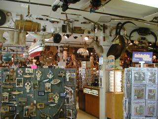 Inside Marsh's Museum
