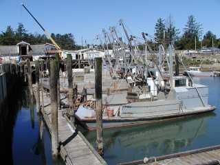 Oyster Boats