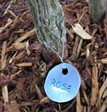 Plant Name Tags