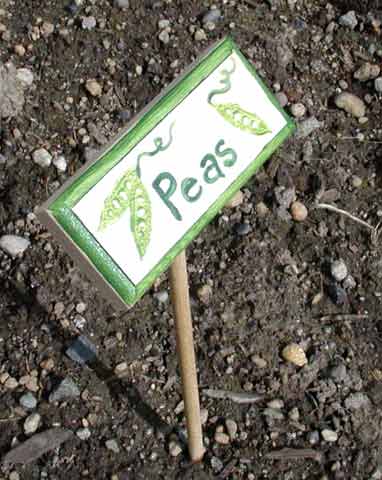 Garden Plant Sign
