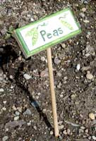 Plant Name Stake
