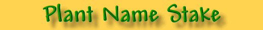Plant Name Stake