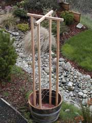 Wine Barrel Trellis