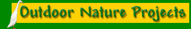 Outdoor Nature Projects