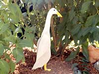 Wooden RunnerDuck