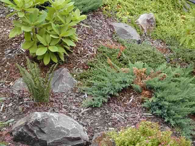 Rocks on the hill