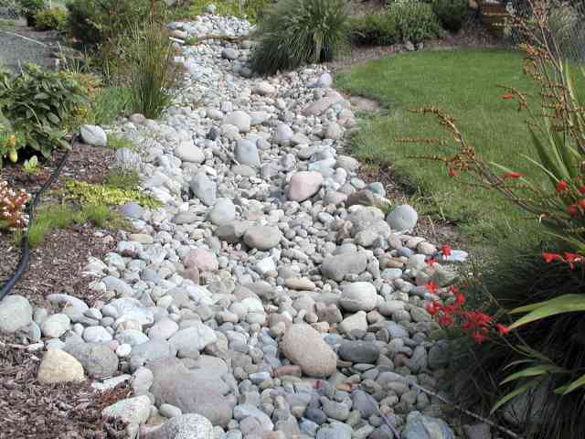 River Bed