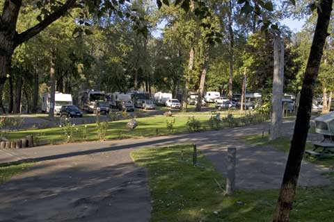 The grounds