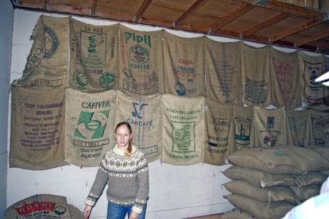 Green Bean Bags