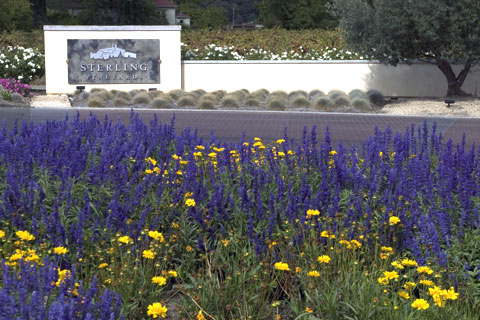 Sterling Winery