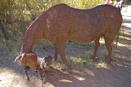 barbed wire horse