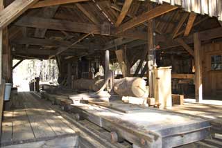 Cutting Wood