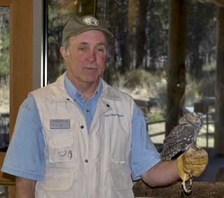 Screech Owl