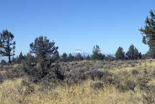 Mt. Jefferson